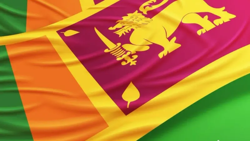 государственный флаг