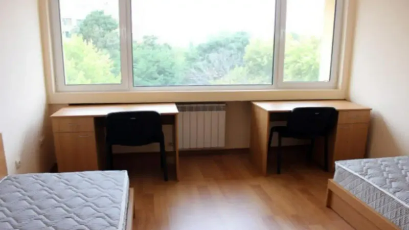 интернатные учреждения