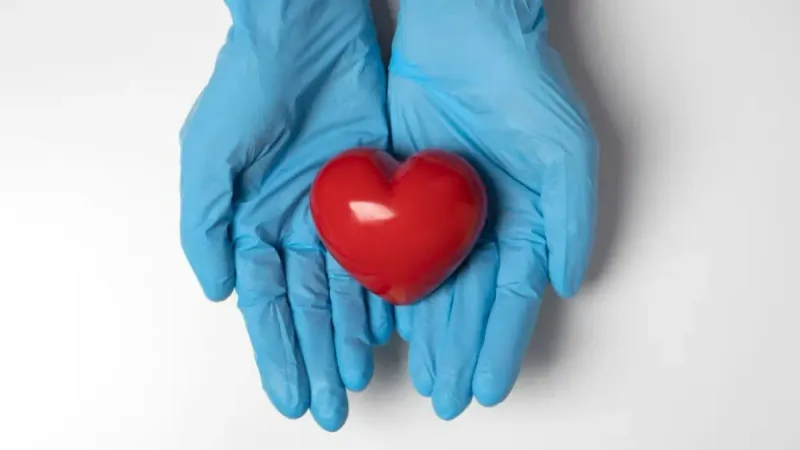 трансплантация органов