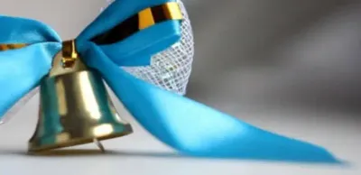 В Минпросвещения дали рекомендации по последнему звонку