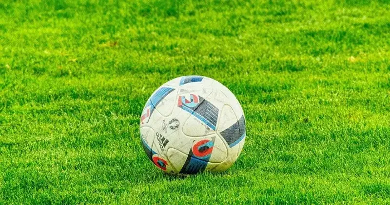 хищения в ArtSport Almaty