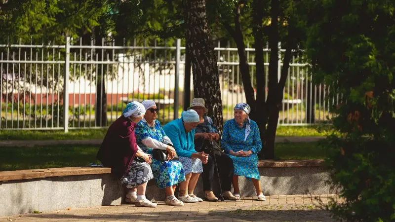 пенсионная система