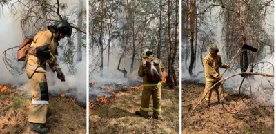 крупные пожары в Костанайской области
