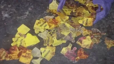 Скотокрадство, полиция, МВД РК