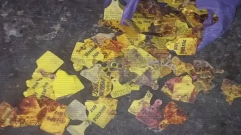 Скотокрадство, полиция, МВД РК