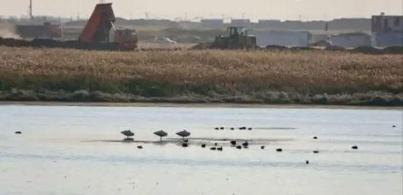 суд по Талдыколю