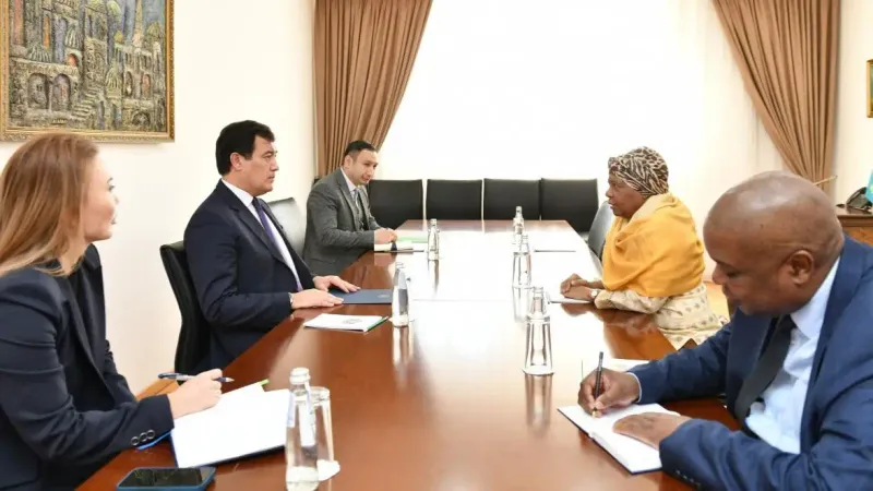 завершение дипмиссии