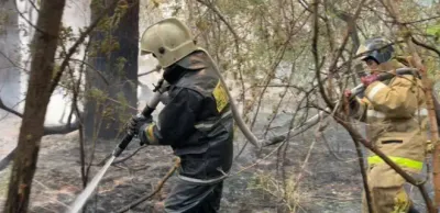 Генпрокуратура возбудила уголовное дело по факту лесного пожара в Абайской области