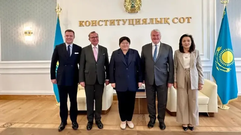 Эльвир Азимова и МФЦА