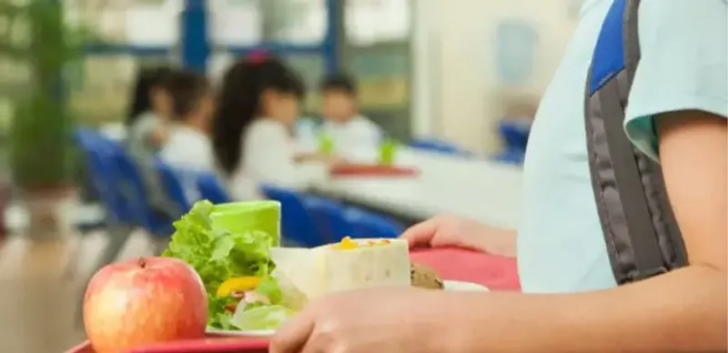 Более 84 млн тенге выделят на питание учащихся 1-4 классов в сфере культуры