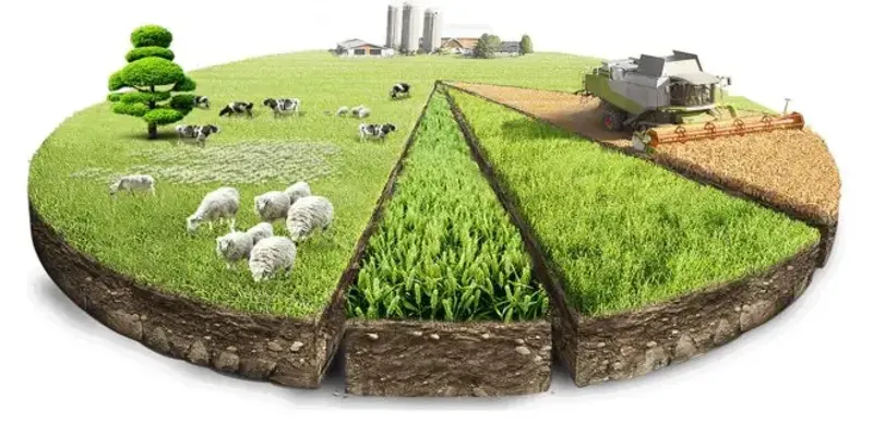 Земельный спор 20-летней давности решил суд