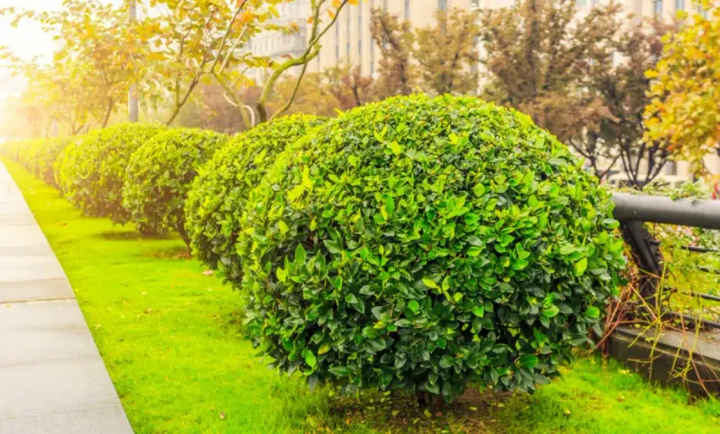 Qazaqstan construction