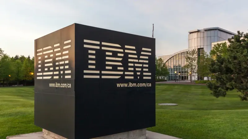 IBM staff