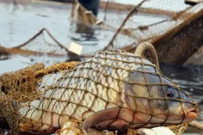 браконьер рыбалка Казахстан