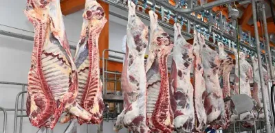 В Жамбылской области оштрафовали продавца зараженного сибирской язвой мяса