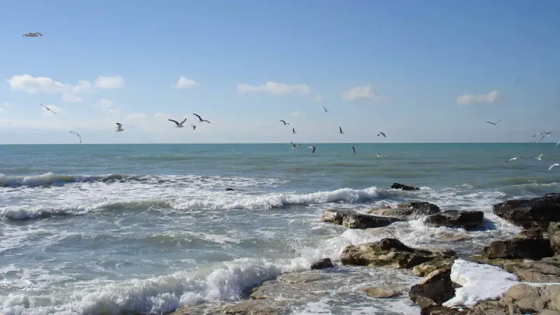 Каспийское море