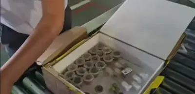 В аэропорту Алматы пресекли незаконный ввоз посылки с муравьями