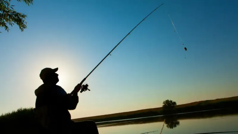нарушение законодательства