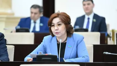 сенатор парламента