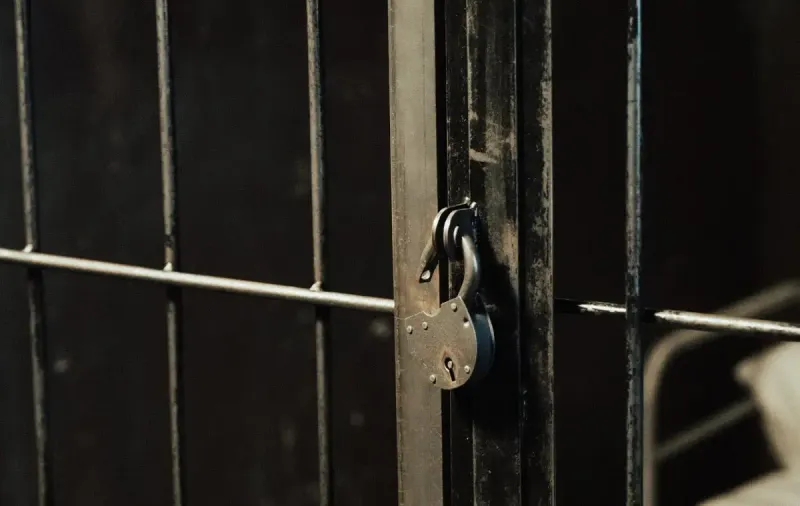 Сирия тюрьма боевики