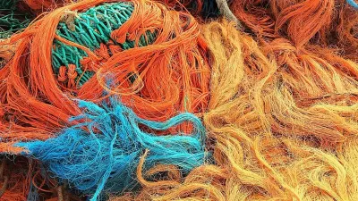 браконьерство