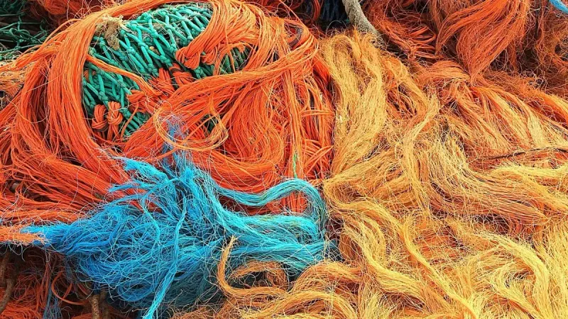 браконьерство