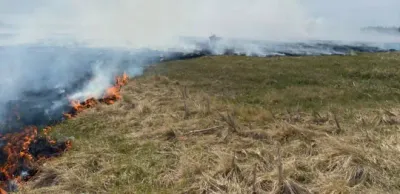 Пограничники спасли мужчину из пожара близ границы