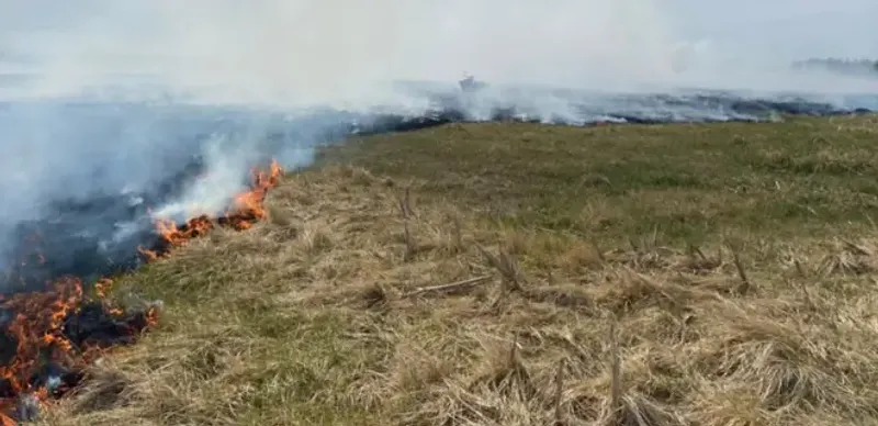 Пограничники спасли мужчину из пожара близ границы