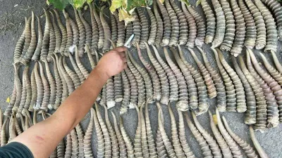 незаконный сбыт