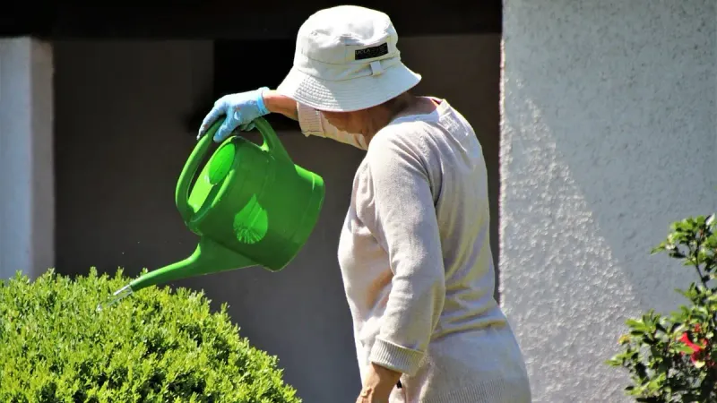 пожилое население