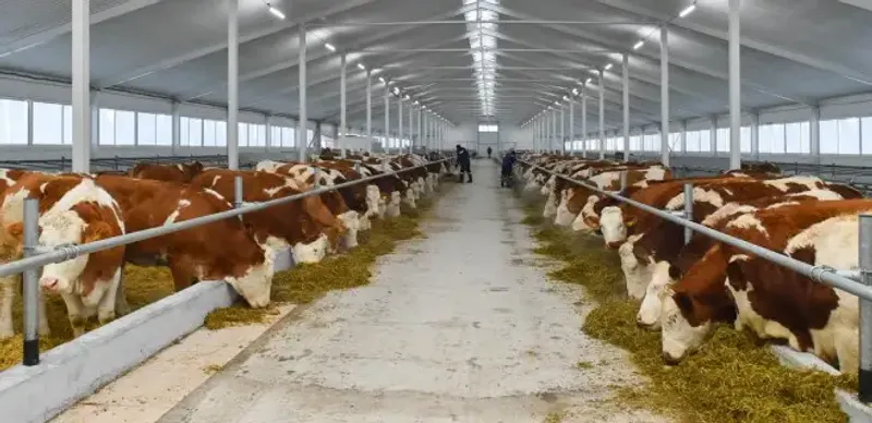 крестьянское хозяйство вернуло деньги в бюджет