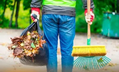 дворнки листья