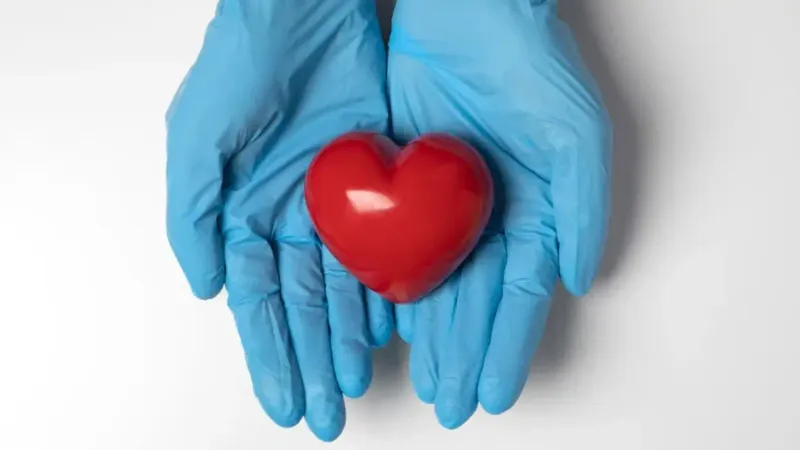 трансплантация органов