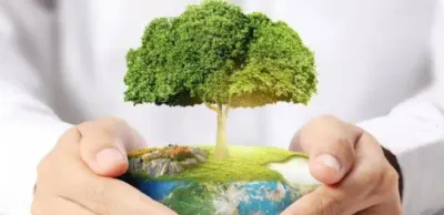 Свыше 300 млн тенге вернут предпринимателям в СКО