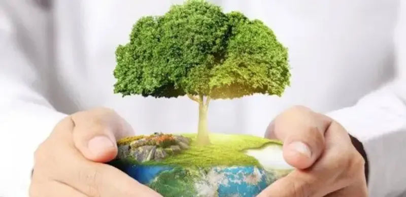 Свыше 300 млн тенге вернут предпринимателям в СКО