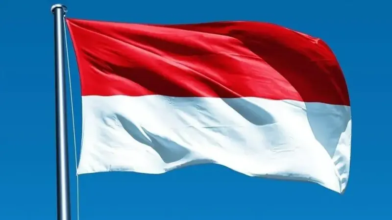 государственный флаг