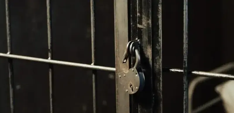 Экс-учредитель «Оператор РОП» просила суд не лишать ее свободы