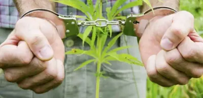 МВД борьба с наркотиками