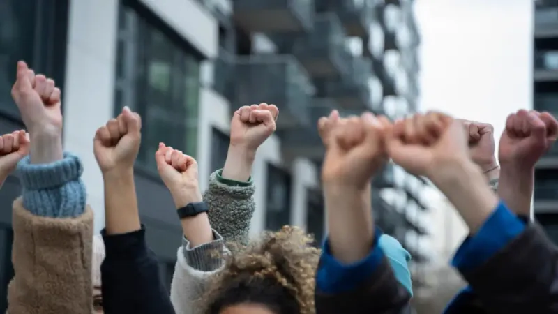 проведение протестов
