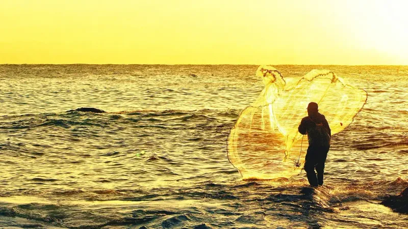 нарушение законодательства