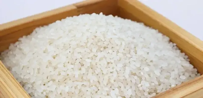 АЗРК начало расследование в отношении крупных производителей риса в Кызылординской области