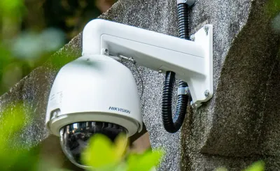 environmental crimes