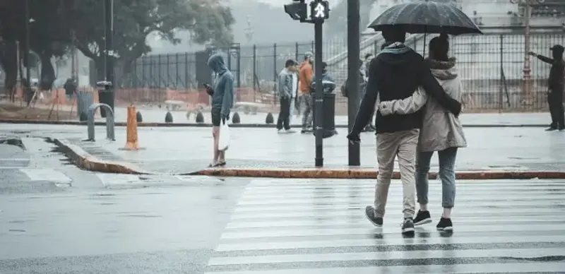 «Сергек» в Алматы будет фиксировать водителей, не пропускающих пешеходов