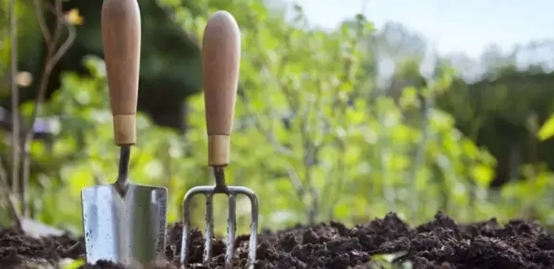 В Павлодарской области суд обязал акима рассмотреть заявление о земле