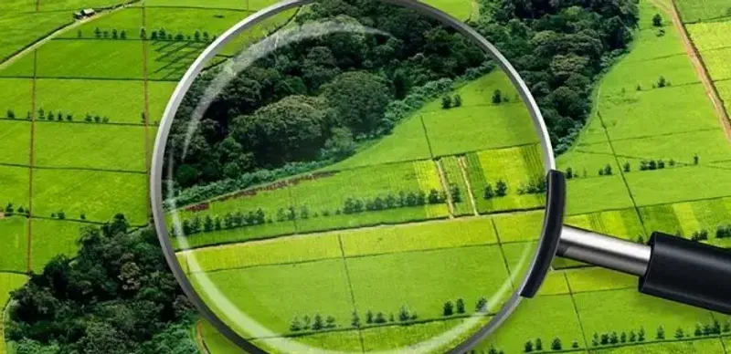 спор по земельному участку