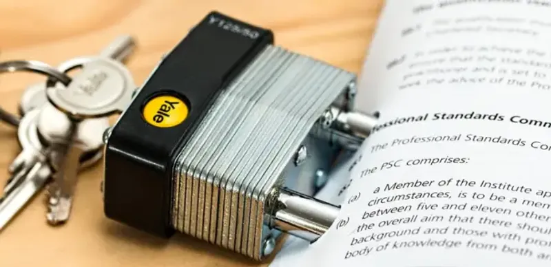 Закон об онлайн-платформах и онлайн-рекламе одобрили в Сенате