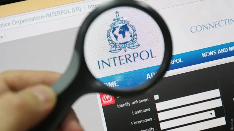Interpol finance