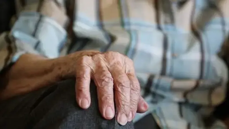 изменения в правилах оказания специальных социальных услуг