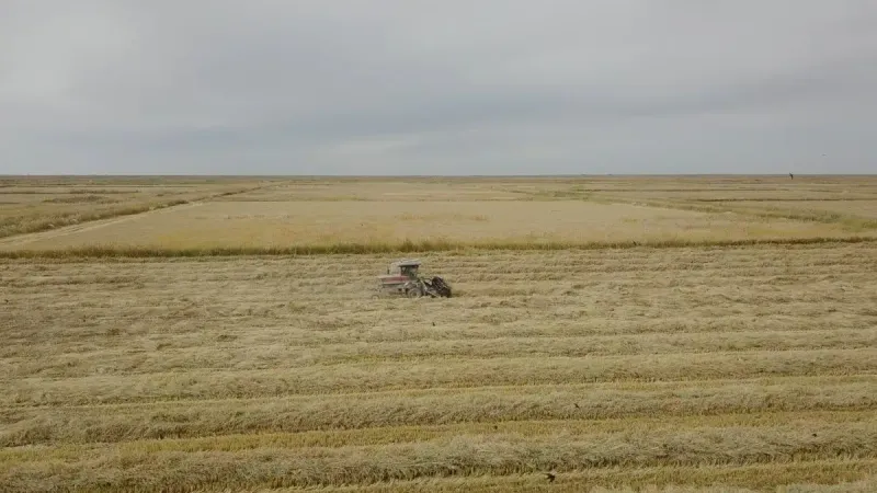 земельный участок