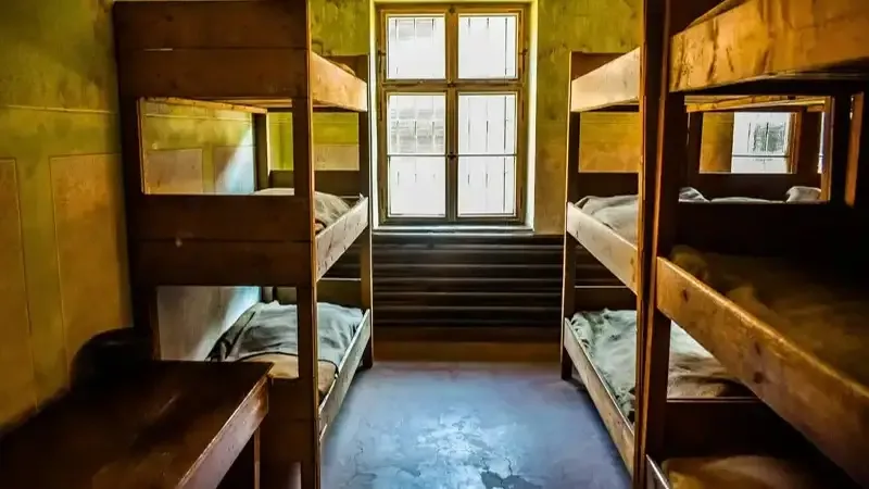 массовая амнистия